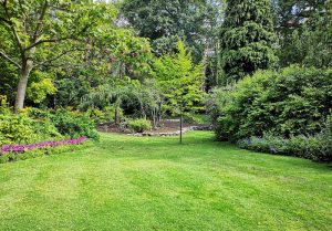 Optimiser l'expérience du jardin à Fleury-la-Vallee