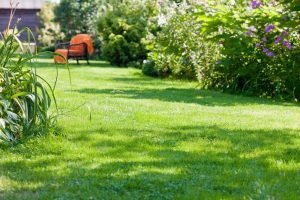 travaux jardin et paysage Fleury-la-Vallee